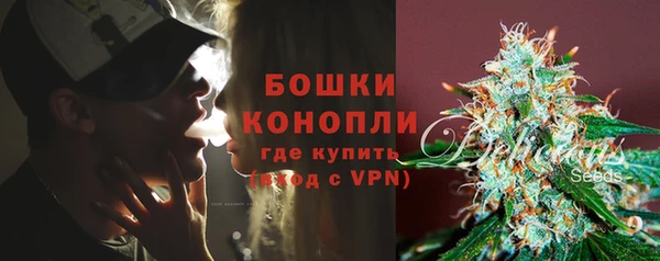 стафф Новодвинск