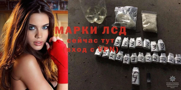 стафф Новодвинск