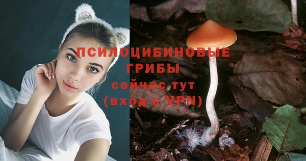 амф Новокубанск