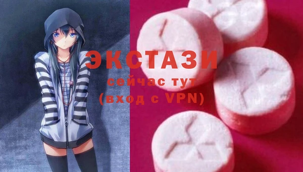 стафф Новодвинск