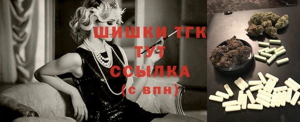 стафф Новодвинск