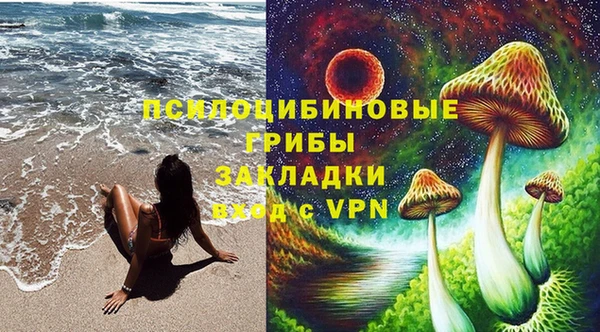мдма Новозыбков