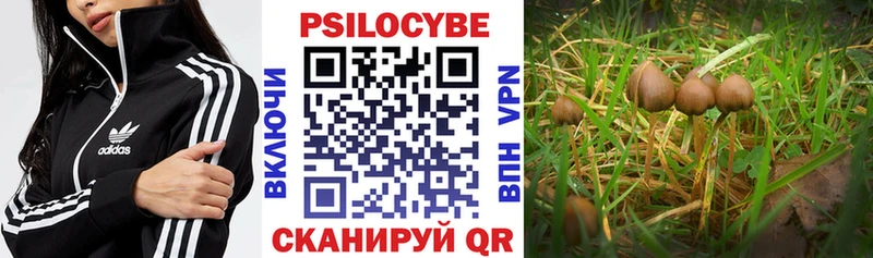 Галлюциногенные грибы ЛСД  дарк нет состав  Палласовка 