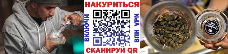 Каннабис сатива  Палласовка 